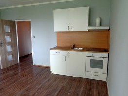 Квартира, 1+КК, 34 м², Прага 4 – Нусле